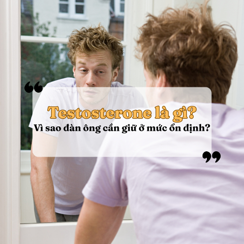 Testosterone Là Gì? Vì Sao Đàn Ông Cần Giữ Ở Mức Ổn Định?